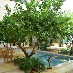 4* Gasthuis Emberiza Sahari